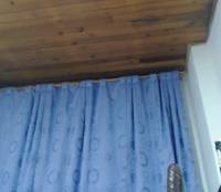 Wildcum_95