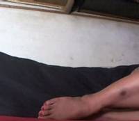 Transex-Maffie