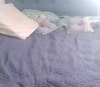 Re_Alana